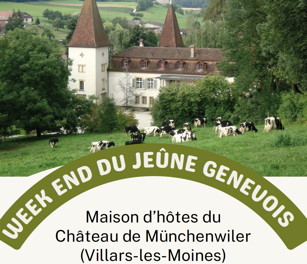 ChâChateau_de_Münchenwiler.jpeg