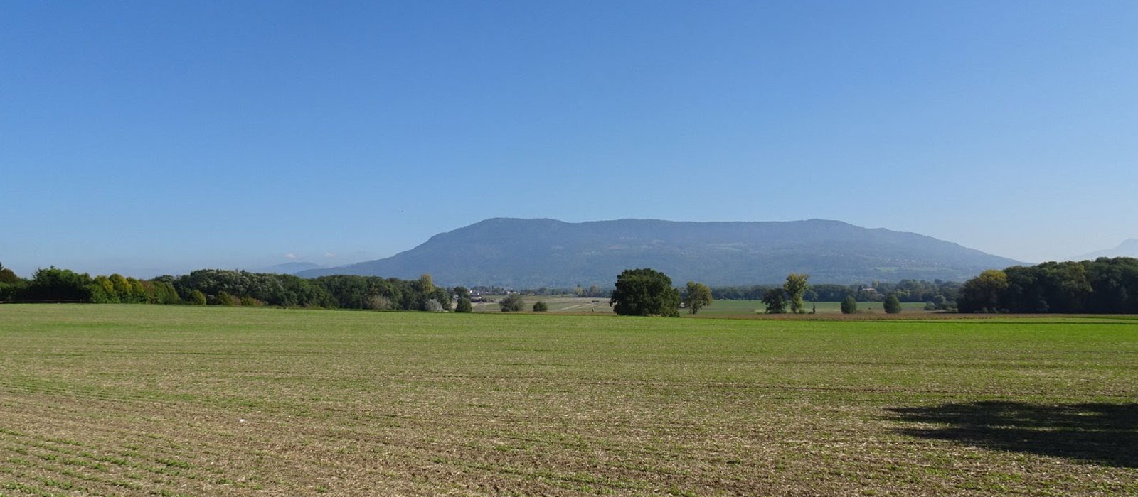 Montagnes russes à l'est